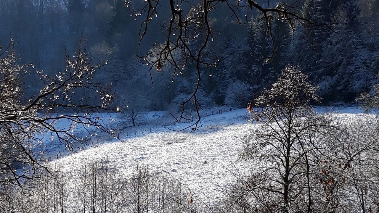 Winterlandschaft Winterlandschaft